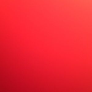 Meet your Posher, Bobby